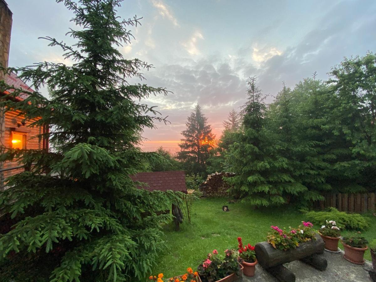Carpathian Log Home Bran  Esterno foto